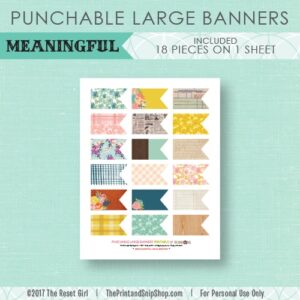 Paper Punch Buffet >> Large Banners: Meaningful Collection