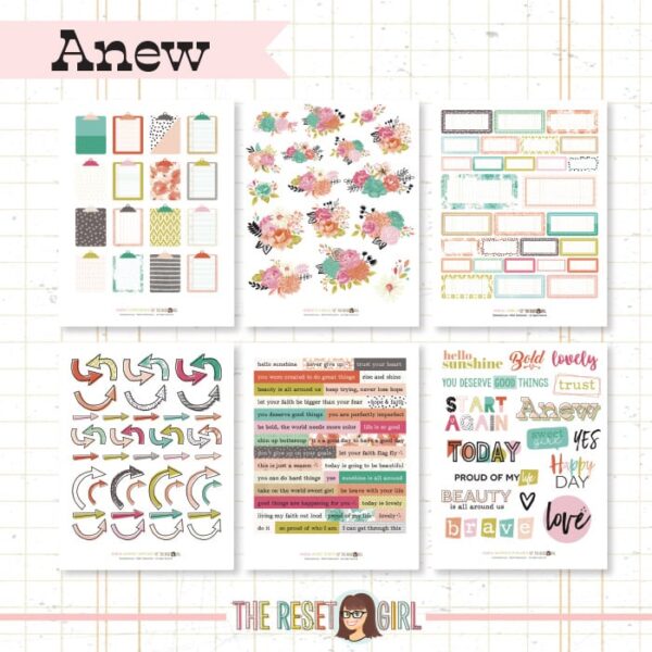 Store Graphic COLLECTION